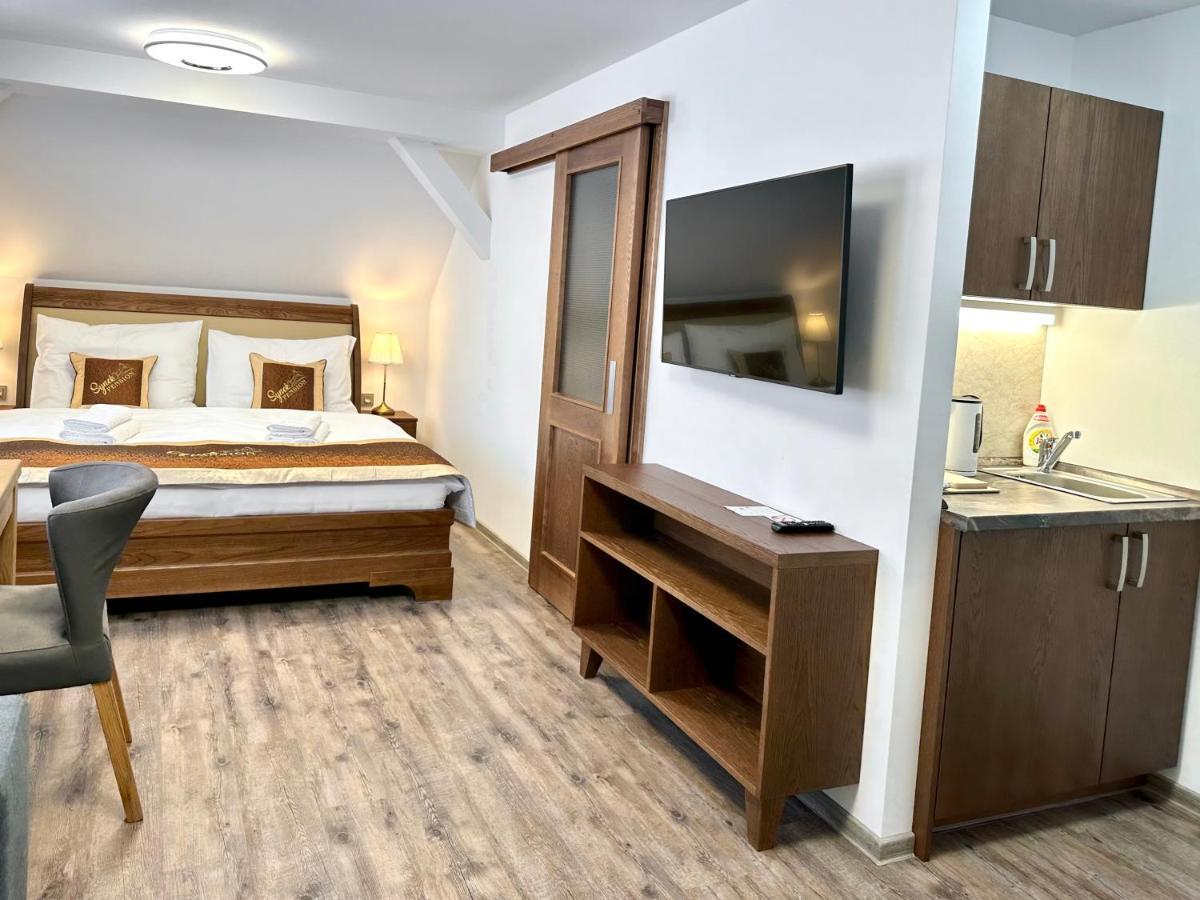 Synek Pension Špindlerŭv Mlýn Extérieur photo